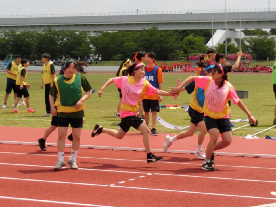 pict (2).JPG